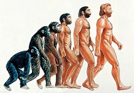 人間の進化と脱毛